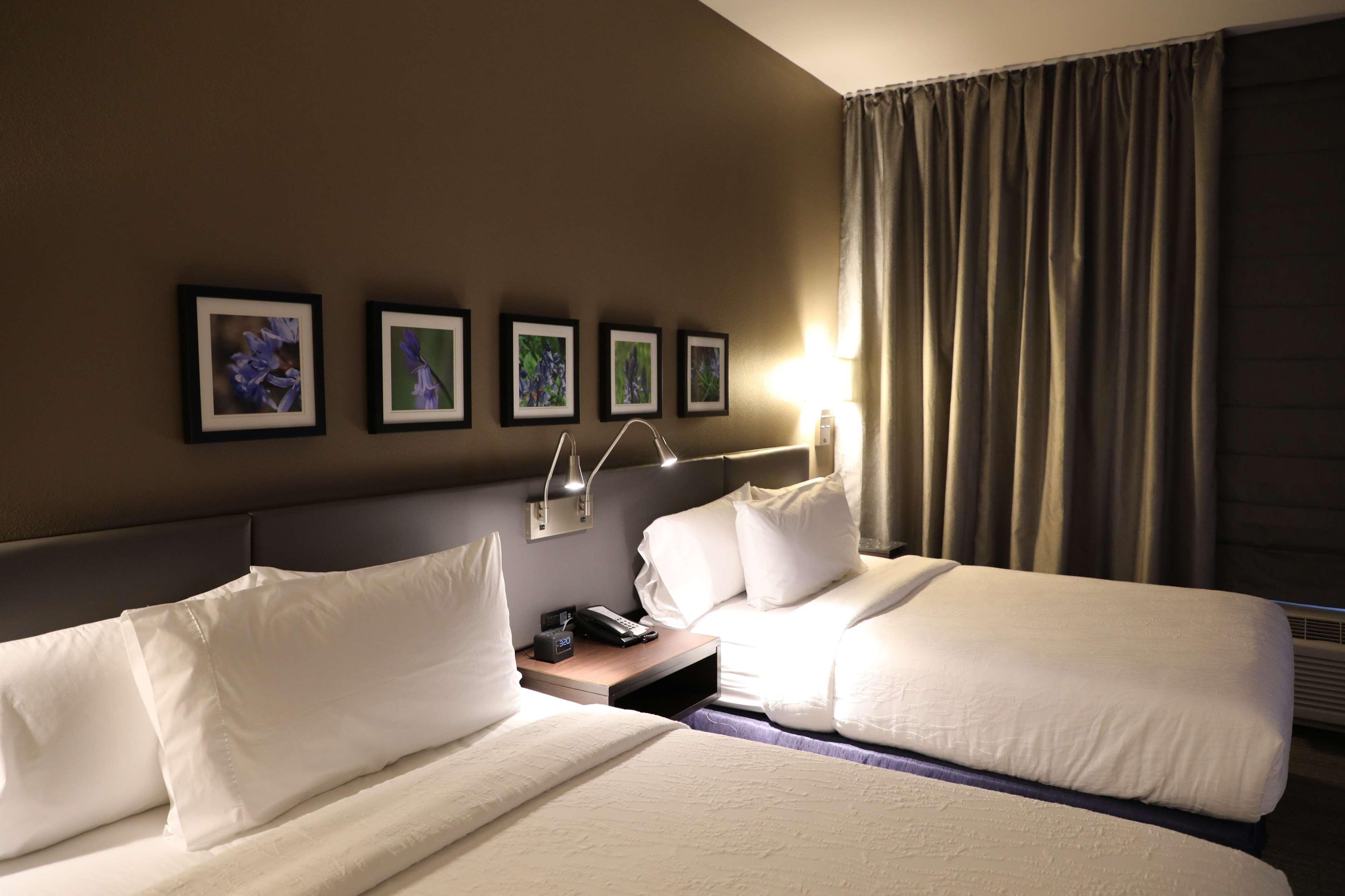Hilton Garden Inn Austin Airport Kültér fotó