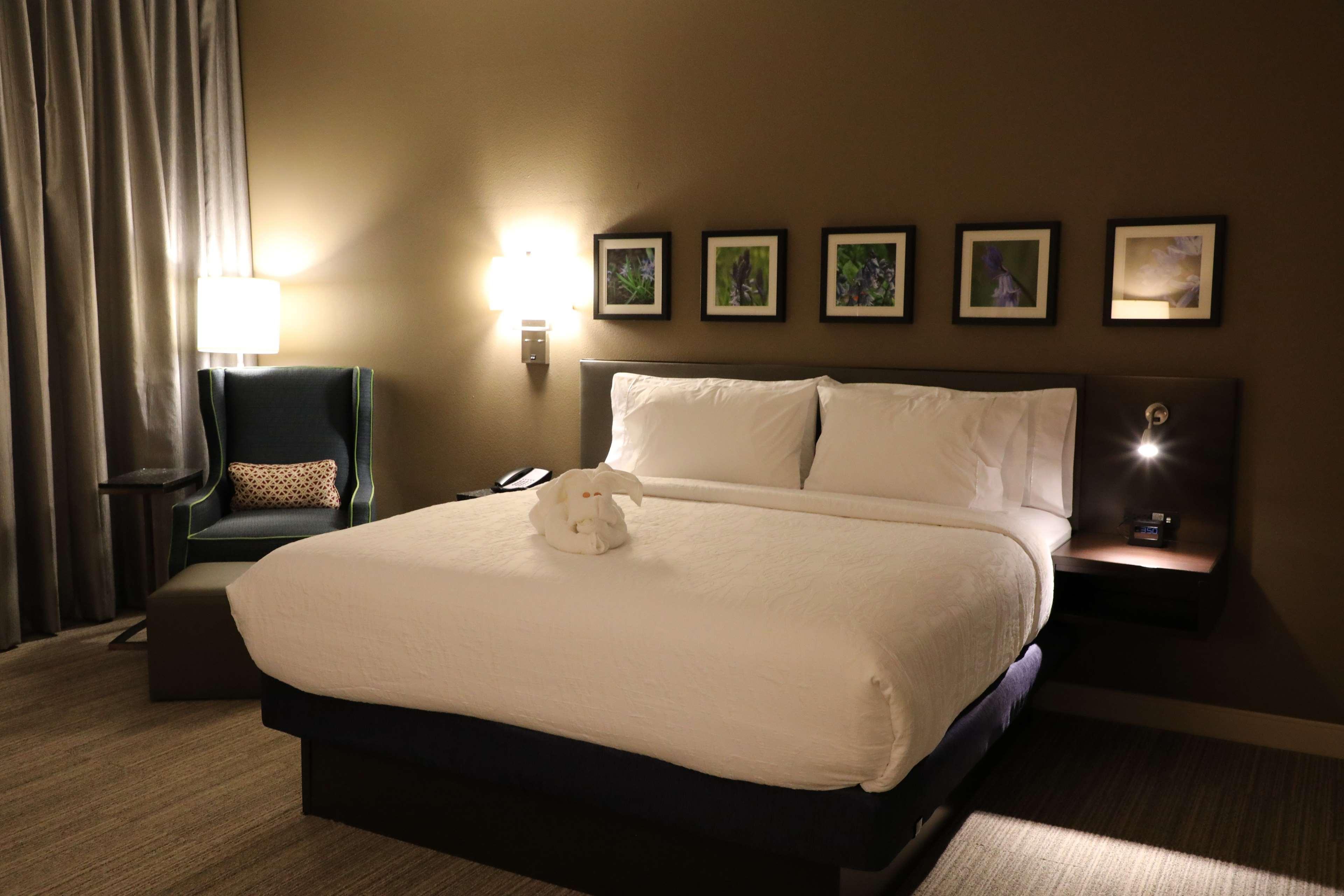 Hilton Garden Inn Austin Airport Kültér fotó